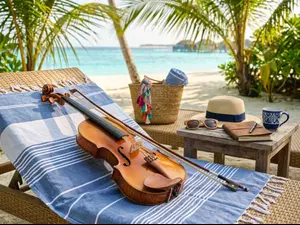 Did you hear about the violin's vacation?