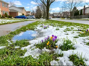 Did you hear the snow finally melted?