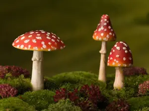 Everyone says that mushroom is such a fungi, so why didn't they have the party at his house?