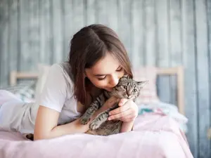 How are teens like cats?