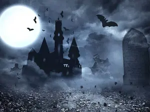 How did the vampire start his letter?