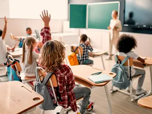 How do bees get to school?