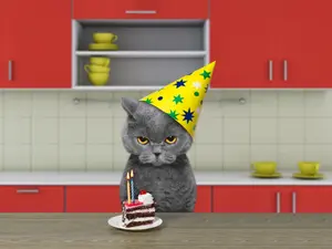 How do cats make a birthday cake?