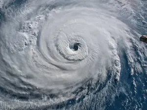 How do hurricanes see?