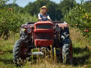 How do you get a country girl to like you?