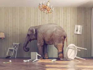 How do you get out of an elephant's stomach?