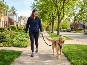 How do you keep dogs off the road?