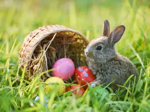 How do you send a letter to the Easter Bunny?
