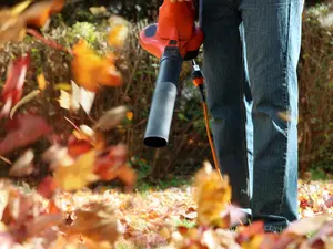 My leaf blower doesn't work.