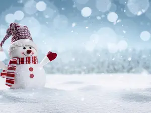 What do snowmen eat for breakfast?