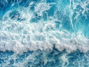 The ocean is a real trendsetter.