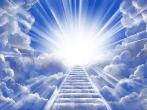 What animal always goes to heaven?