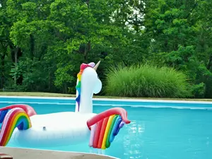What animal floats best?