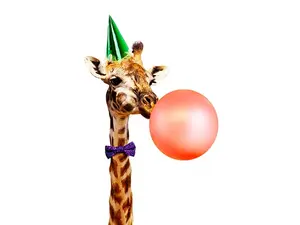 What animal has the most fun?