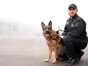 What animal is always ready to protect people?