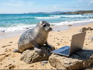 What animal is best with a computer?