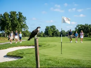 What bird do golfers like best?