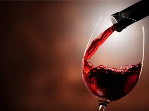 What breed of dogs are actually wine connoisseurs?