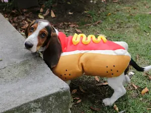 What can a puppy do to avoid growing into a hot dog?