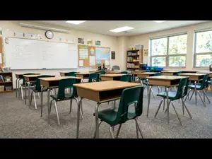 What club do young bears join after school?