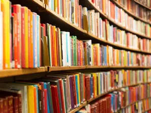 What color are all the books in the library?