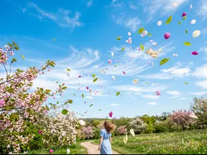 What color is the wind on a breezy day?