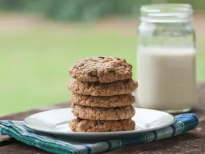 What cookies are best enjoyed outside?
