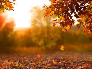 What did autumn say to summer?