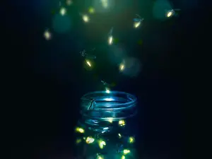 What did one firefly say to the other?