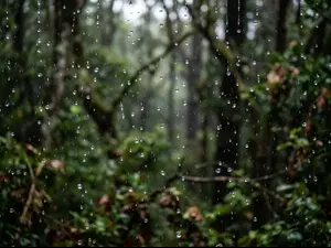 What did one raindrop say to the other on the way down?