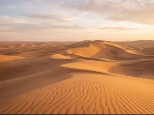 What did one sand dune say to the other sand dune?