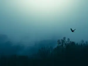 What did the baby bird say on Halloween?