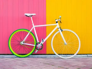 What did the bicycle call its dad?