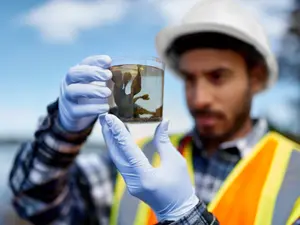 What did the biologist wear on his big date?