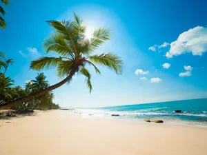 What did the boy say after a long day at the beach?