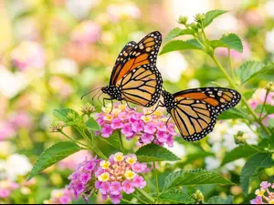 What did the butterfly's kids say to cheer her up?