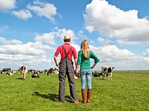 What did the farmer give his wife for Valentine's Day?