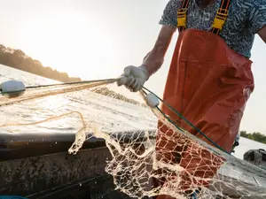What did the fisherman say when his fishing line got tangled?