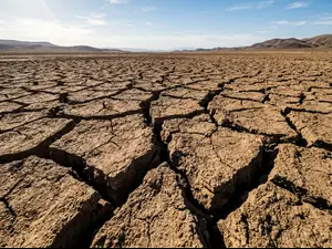 What did the ground say to the earthquake?