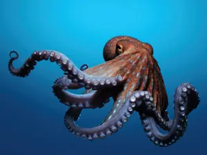 What did the octopus use to write his novel?