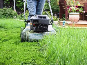 What did the Parisian say after cutting his grass?