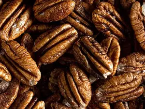 What did the pecan say to the walnut?