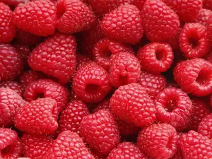 What did the raspberry say to his valentine?