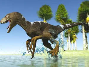 What dinosaur would win the track gold medal at the Olympics®?