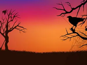 What do birds serve on Halloween?