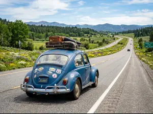 What do cars call life stories?
