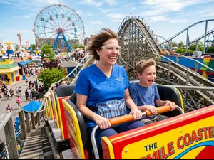 What do dentists do on roller coasters?
