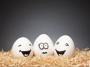 What do eggs say after a long day at work?