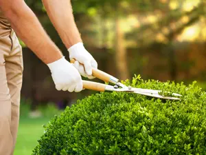What do gardeners always order at Outback Steakhouse®?