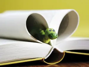 What do librarians use as bait when they go fishing?